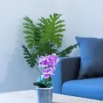 Double Fabriques, 2 Bedrooms, Central, Parking Nearby, Self Checkin 南锡